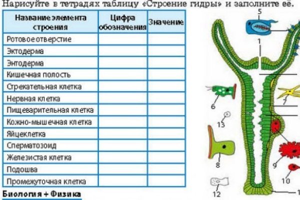 Оригинальный сайт кракен