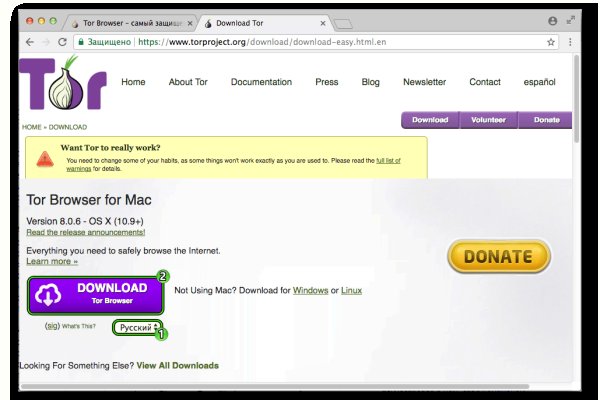 Ссылки тор браузер